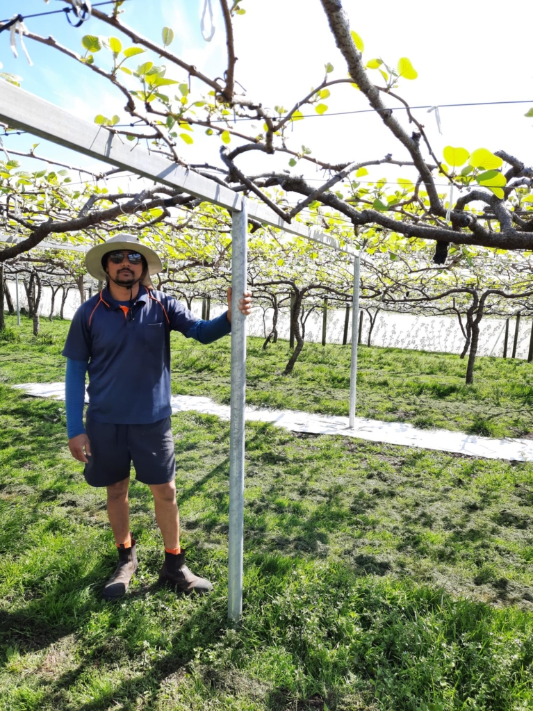 It’s Quality We’re After